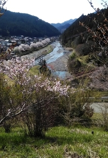 P_20200409_091554.jpg
