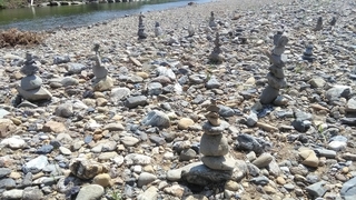 P_20200502_130542.jpg